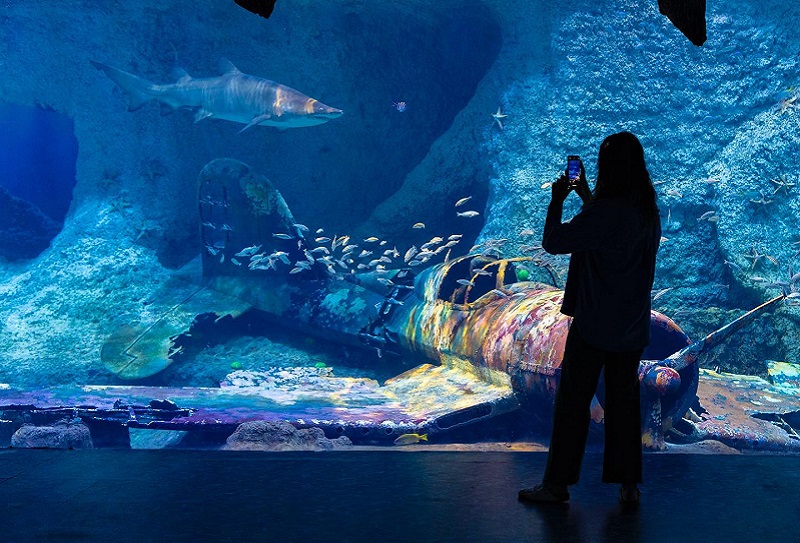 The National Aquarium Abu Dhabi