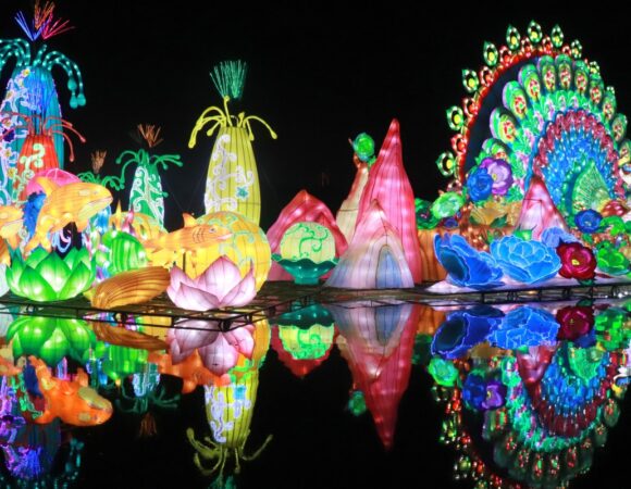 Glow Garden