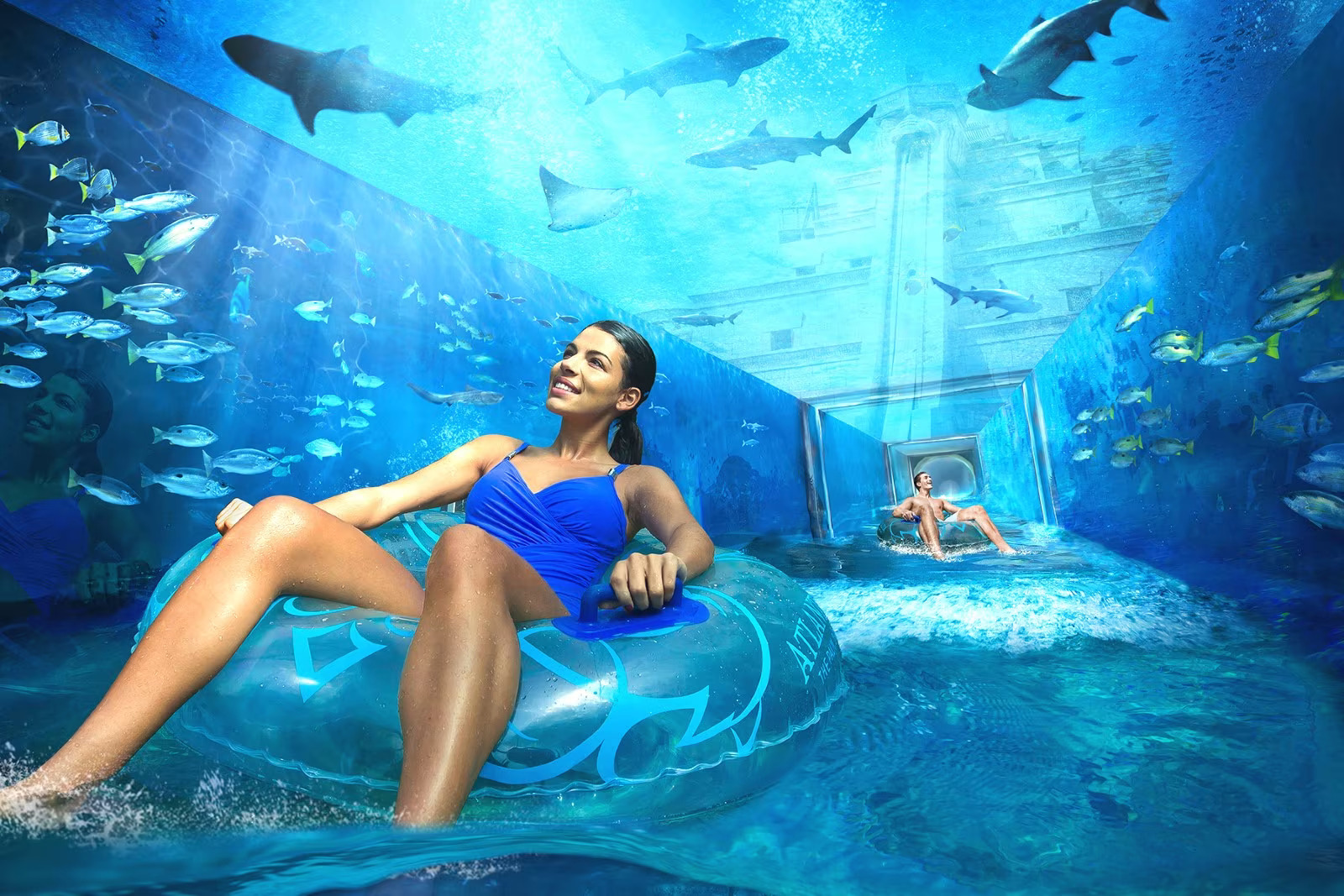 Aquaventure Waterpark | Dolphin Encounter (Swim & interaction experiences)