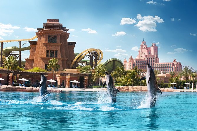 Dubai Dolphinarium | Swim with Dolphins (Interactive pool experience)